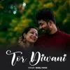 About Tor Diwani Song